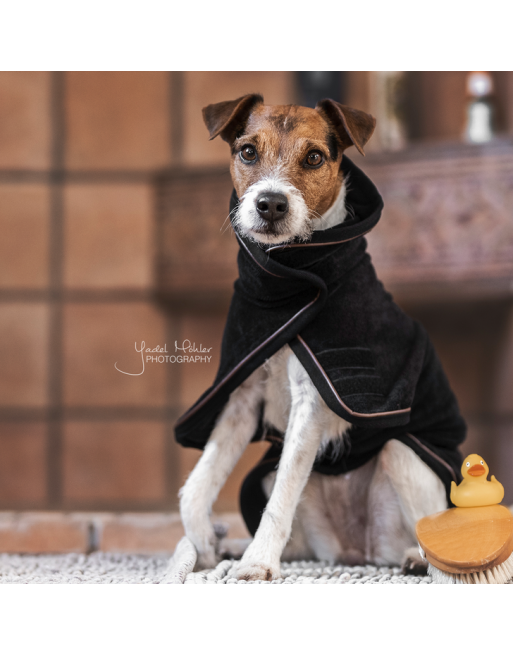 Kentucky manteau serviette pour chien